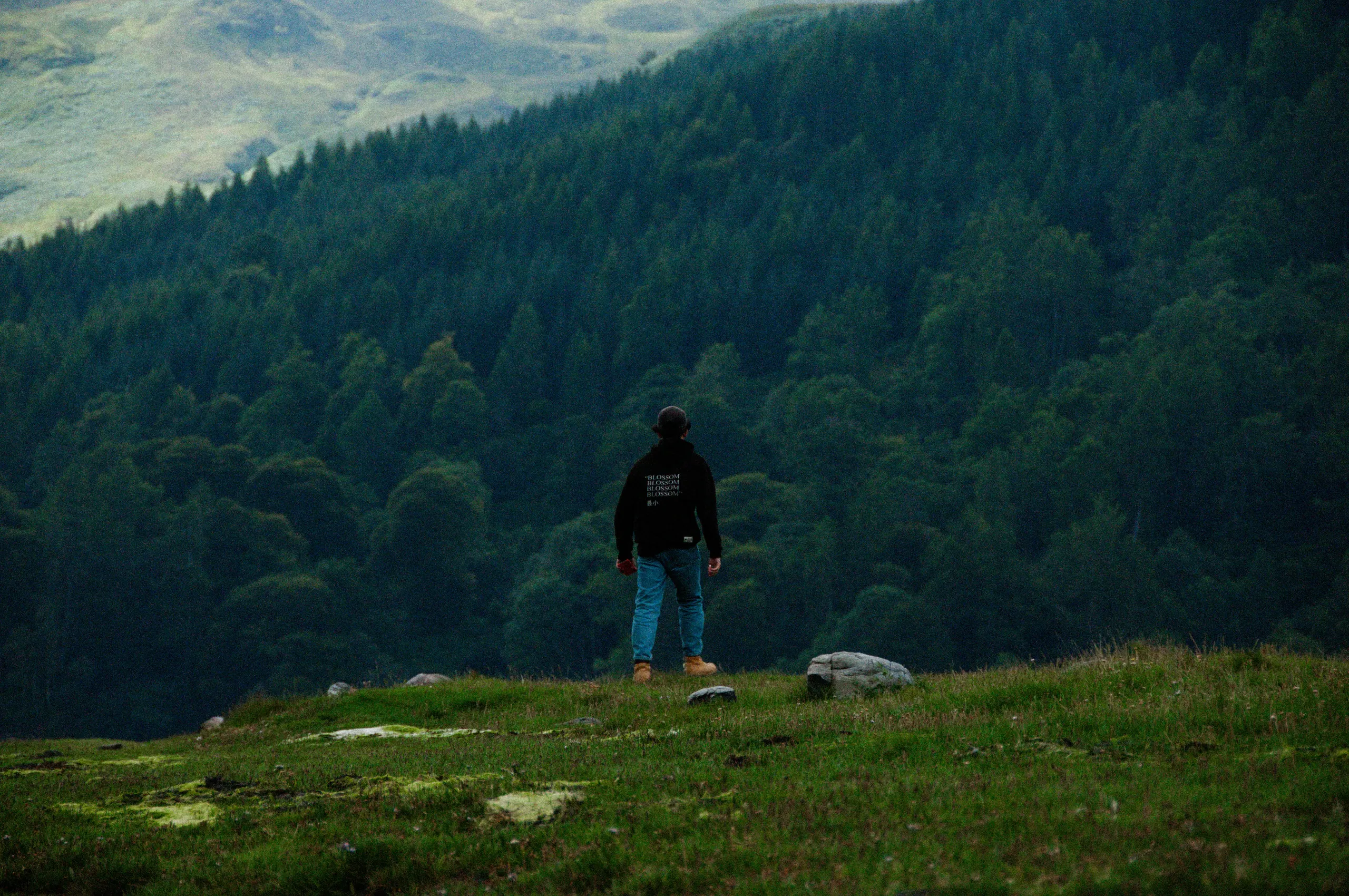 Landscape, 8 of 8